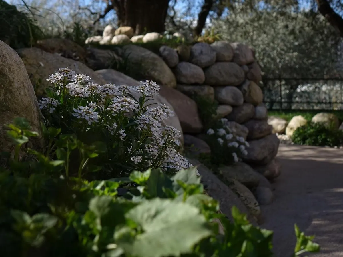 Bed & Breakfast B&B Forsesiforseno Sulzano